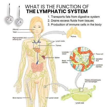 💎Visible results in 15 minutes! Lymphatic drainage earrings—eliminate double chin and say goodbye to puffiness